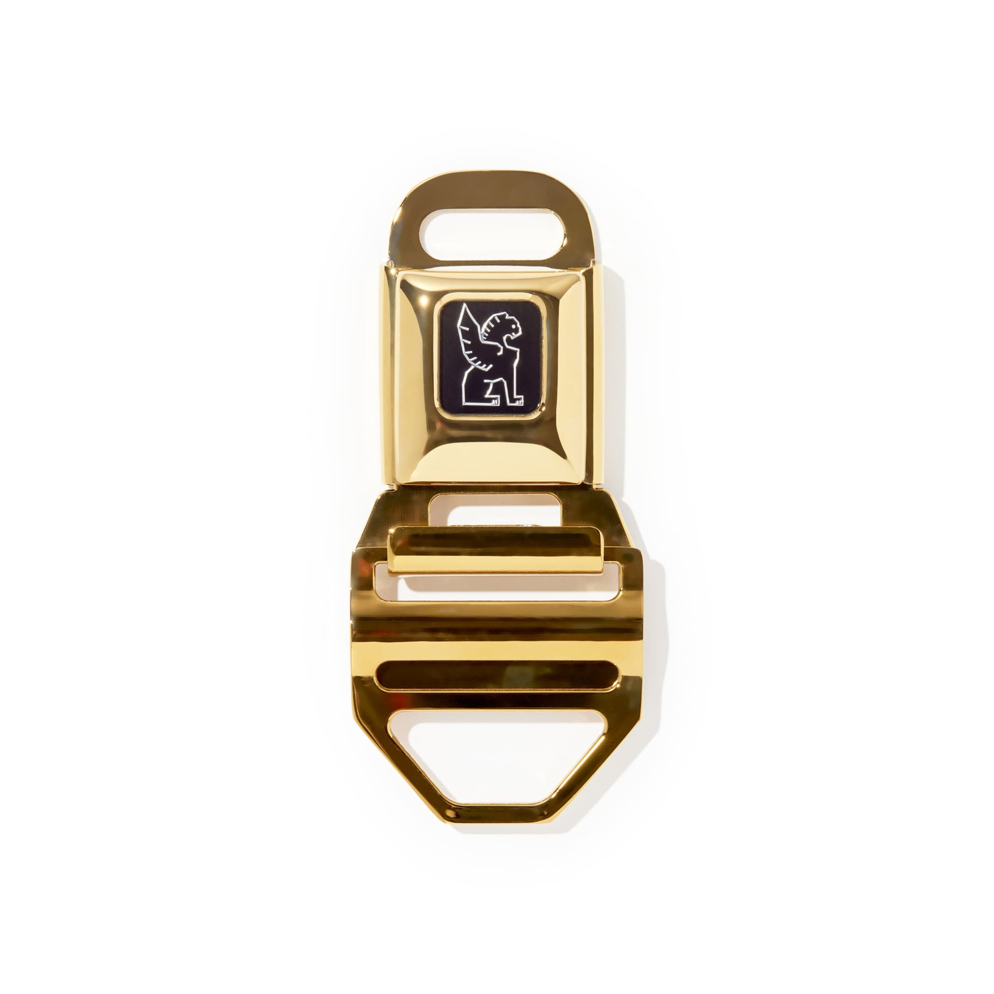 Chrome LG iconic buckle in gold clasped #color_gold