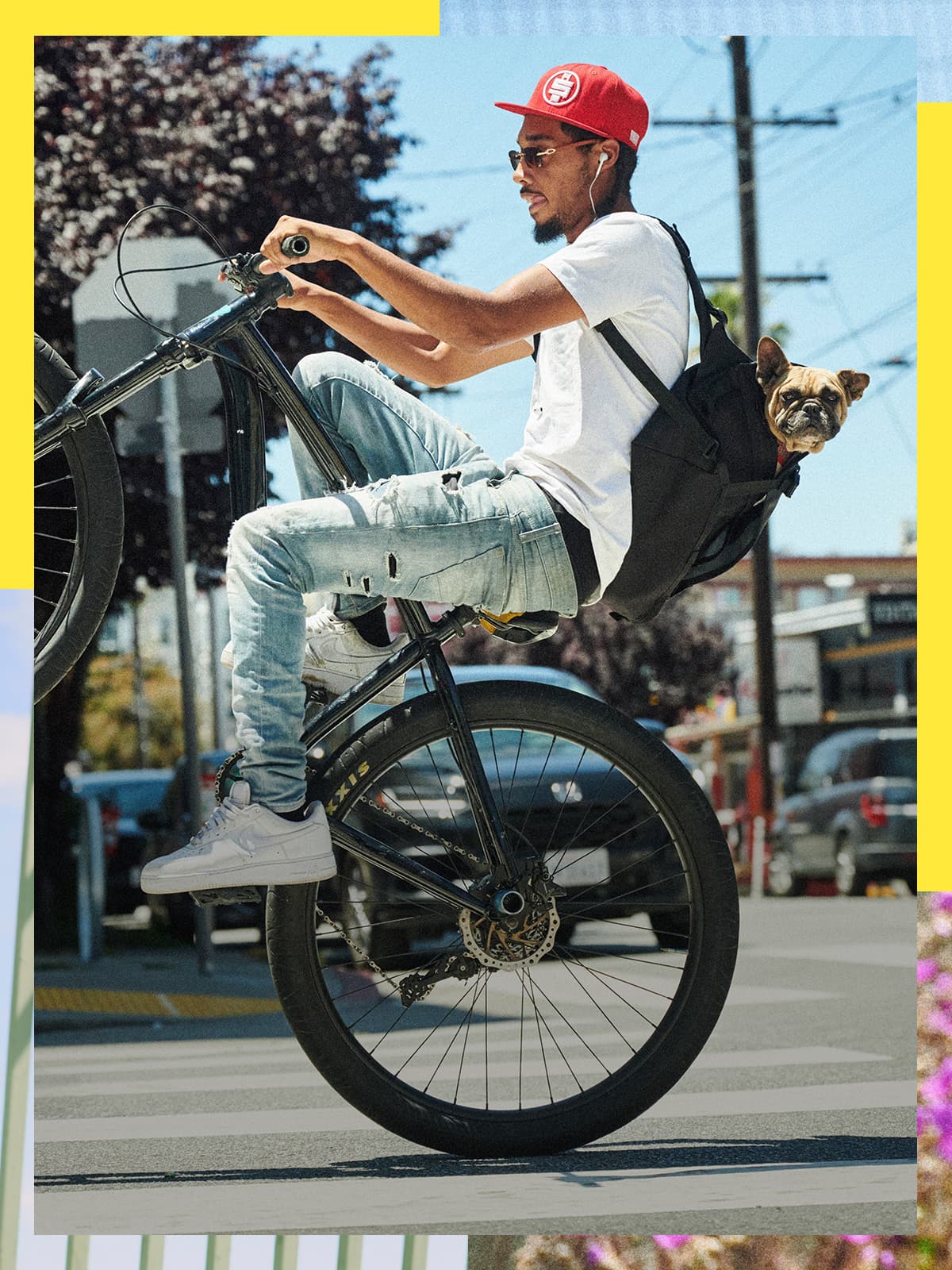 A dog riding in a Chrome bag on a person riding a bike