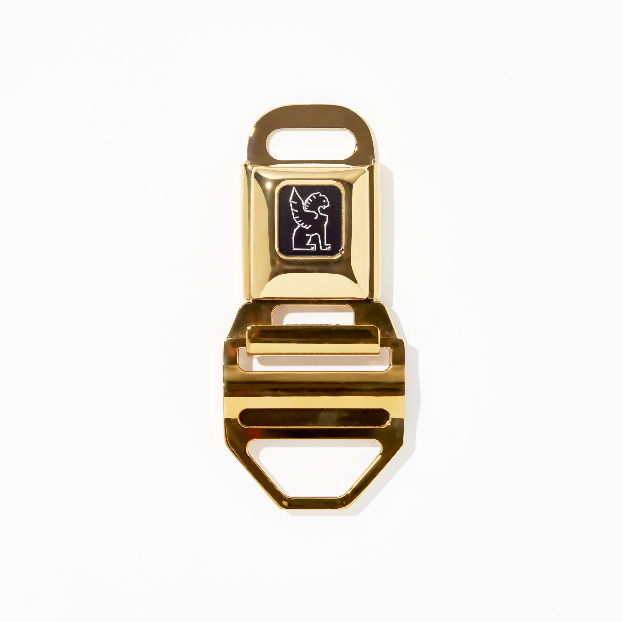 Chrome LG iconic buckle in gold clasped #color_gold