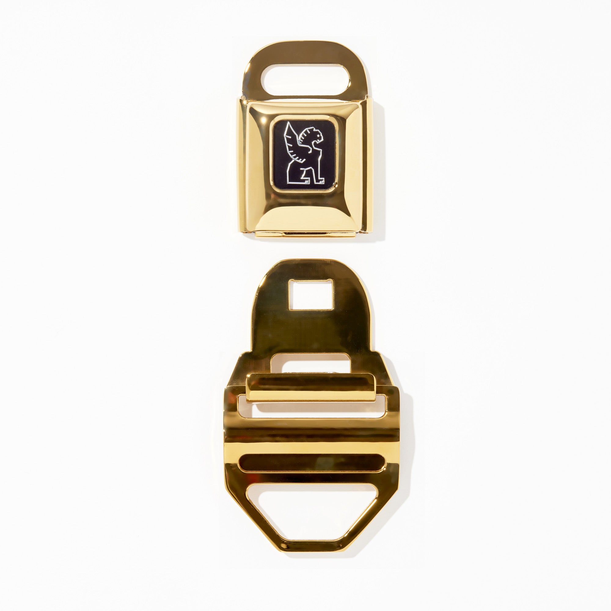 Chrome LG iconic buckle in gold un-clasped #color_gold