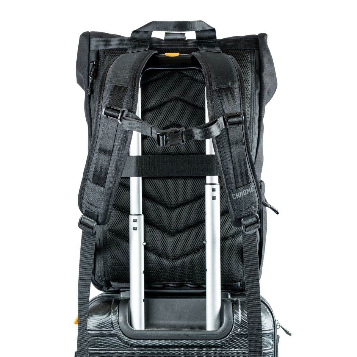 New Backpacks